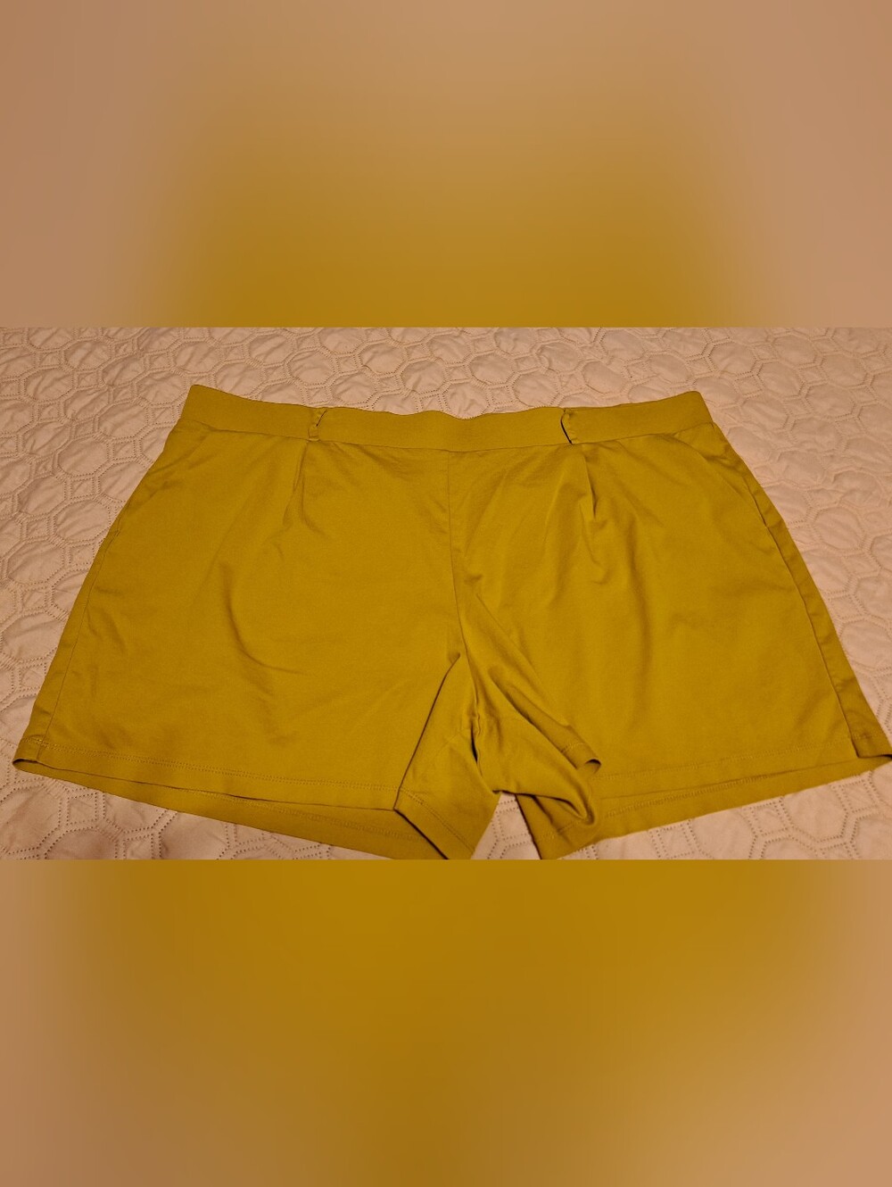 Loft Women's Mustard Tailored Shorts Sz 20